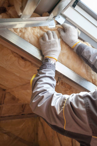 Best Geographic-Specific Insulation Services in Boca Raton, FL