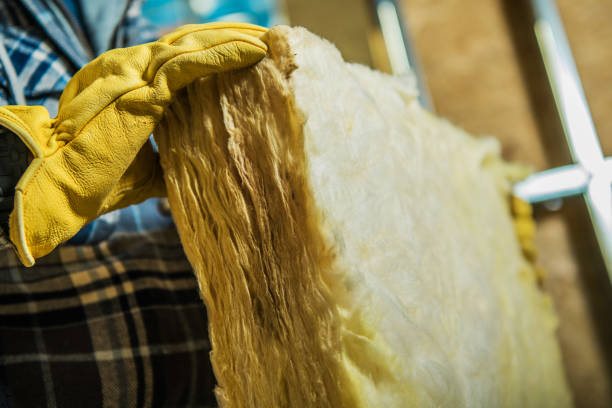Best Cellulose Insulation in Boca Raton, FL